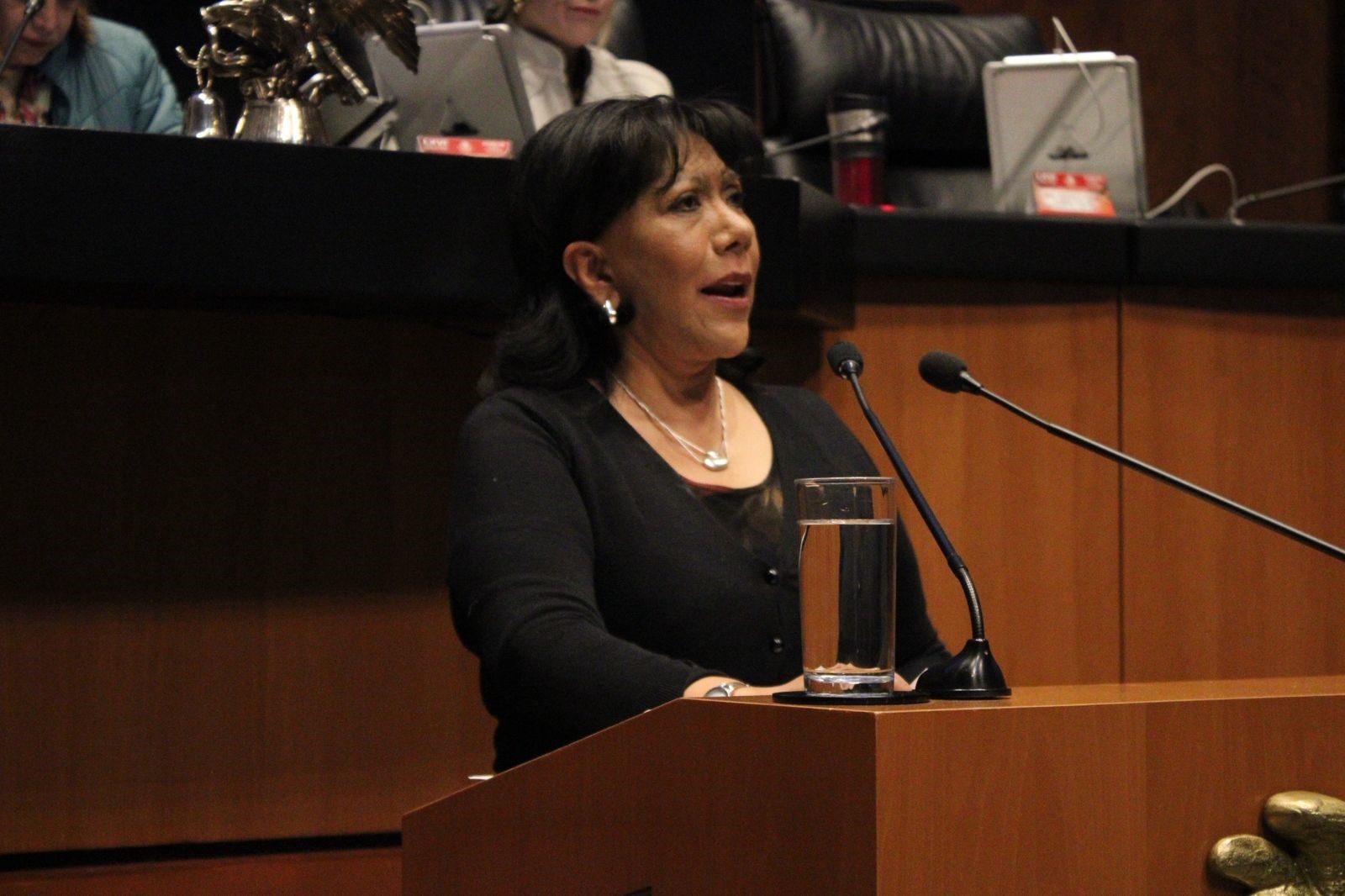 Anabell Ávalos propone actualizar reglas de herencia para proteger vínculos reales de cuidado